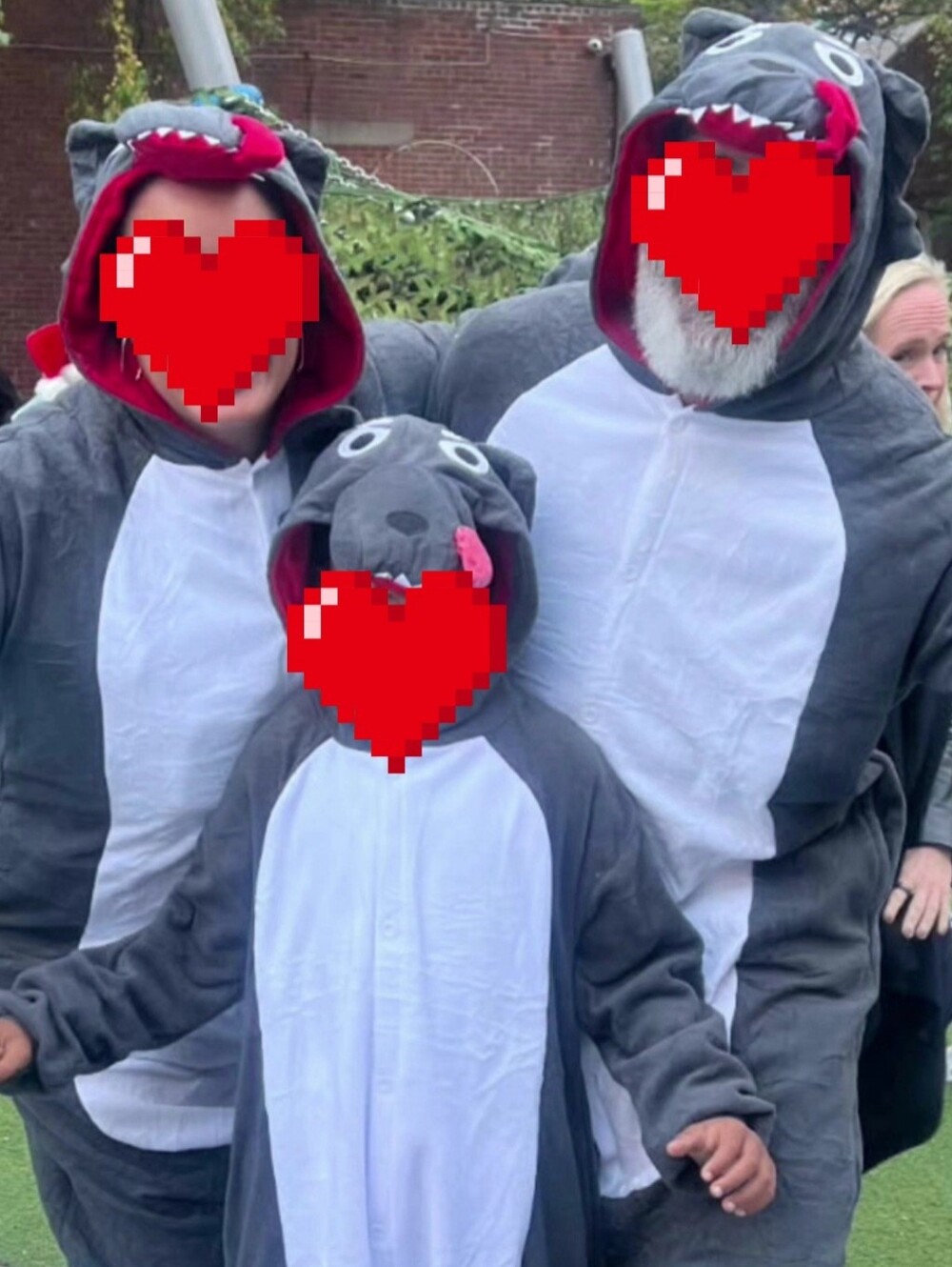 Grey & White Wolf Hooded Onesie - Cozy Costumes 2 ADULT 1 CHILD